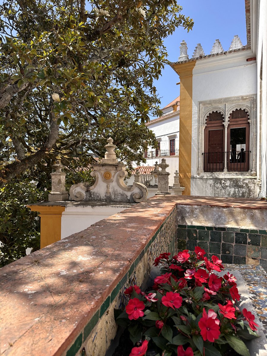 Alyonita tweet media