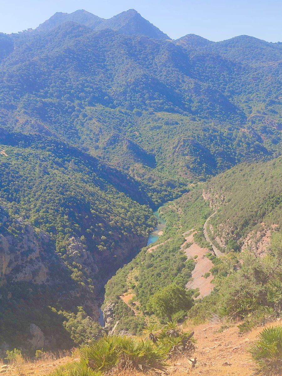 DaniSilver10's tweet photo. Barranco de las Buitreras 🏞️
#buitreras #barranco #elcolmenar #rioguadiaro #aventurasproema #aventurasparatodos #naturaleza #aventuras #nuevasexperiencias https://t.co/nu3EB1pcZb