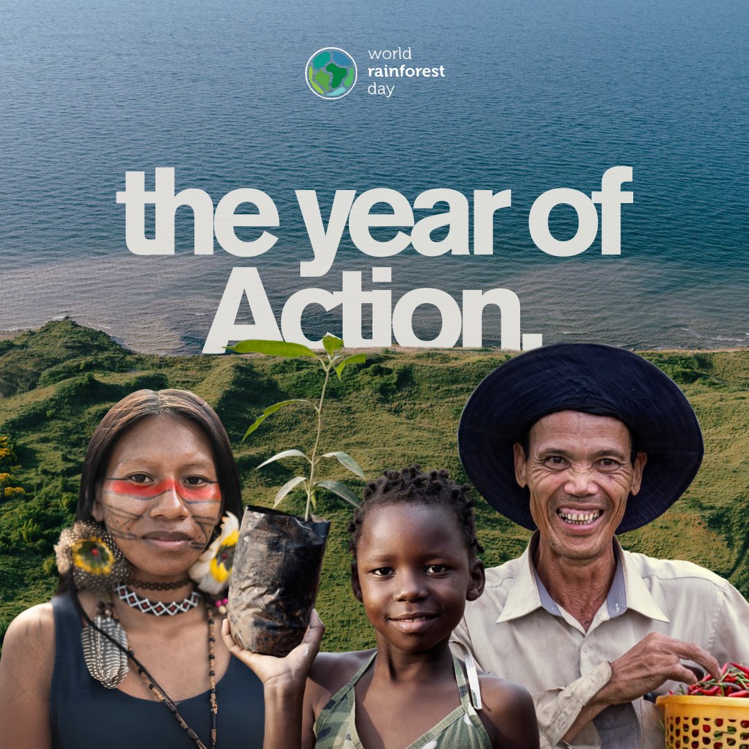 amphibiansorg's tweet photo. Every June 22nd, we celebrate rainforests and their guardians.
This year, weโre celebrating by launching the Year of Action,
a global movement for immediate rainforest protection and
restoration.
#WorldRainforestDay #forRainforests #GenerationRestoration #EcosystemRestoration https://t.co/rF7YZY3a2x