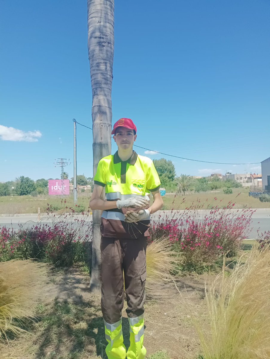 Servicio Atención a la Diversidad y Voluntariado tweet media