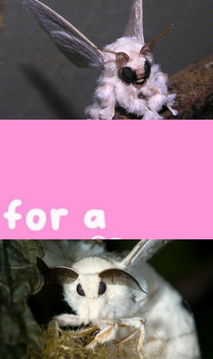 aekurmou's tweet image. 