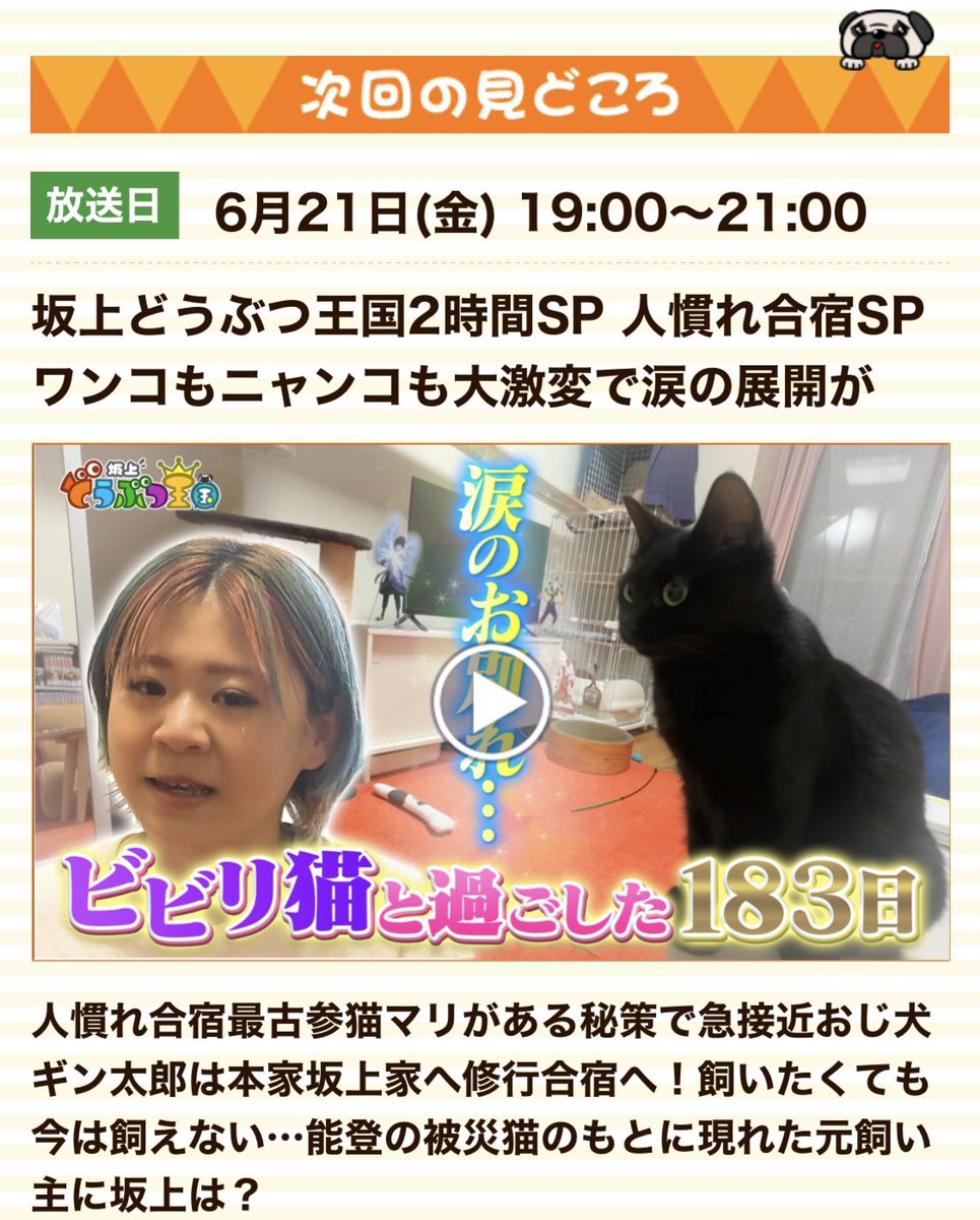 🐶🐈⬛🐶🐈⬛🐶🐈⬛🐶🐈⬛🐶🐈⬛🐶🐈⬛🐶 今日だよ 🐶🐈⬛🐶🐈⬛🐶🐈⬛🐶🐈⬛🐶🐈⬛🐶🐈⬛🐶 今日だよ