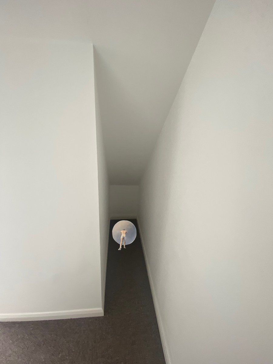 戌神ころね🥐本物 (@inugamikorone) on Twitter photo 