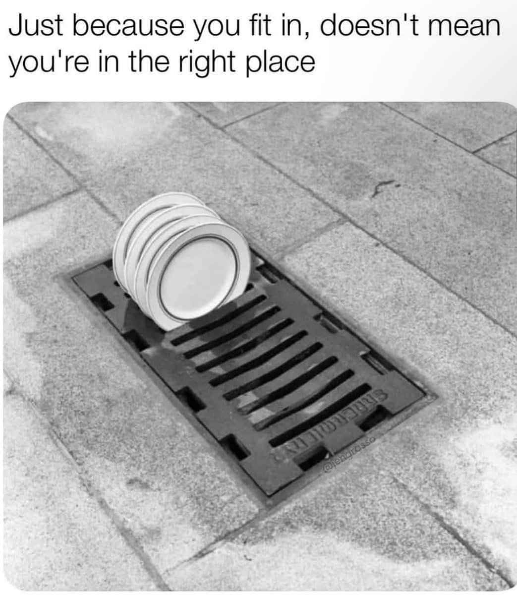 FreshPharma's tweet image. 