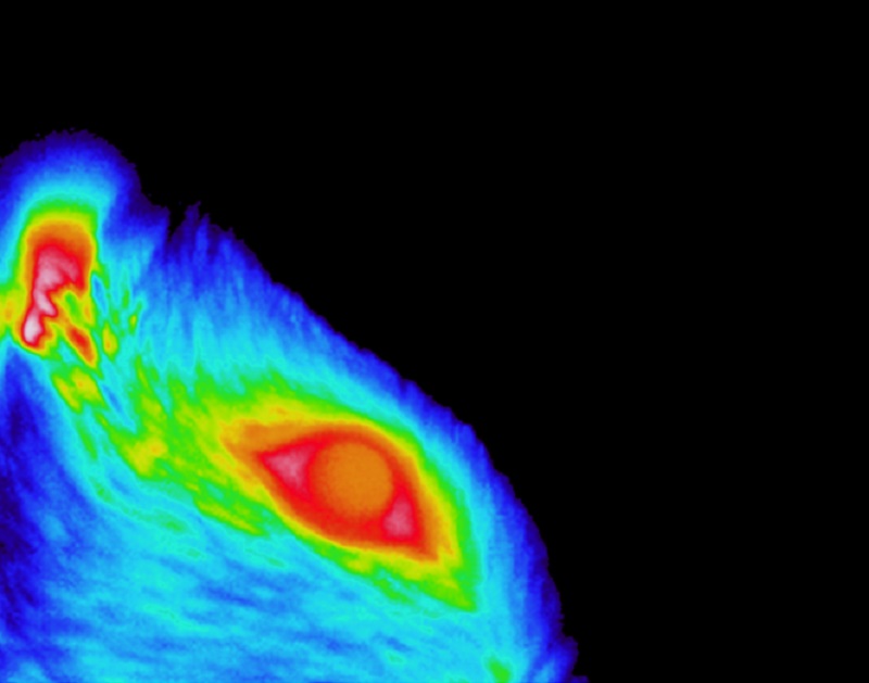 CSIC (@csic) on Twitter photo 👁️Un estudio logra la primera representación anatómica y funcional de la superficie ocular en el sistema nervioso central.
El <a href="/NeuroAlc/">Instituto de Neurociencias UMH-CSIC</a> estudia los mecanismos que dan lugar a las diferentes sensaciones que se experimentan en la superficie del ojo.
👉tiny.cc/599qyz 👁️Un estudio logra la primera representación anatómica y funcional de la superficie ocular en el sistema nervioso central.
El <a href="/NeuroAlc/">Instituto de Neurociencias UMH-CSIC</a> estudia los mecanismos que dan lugar a las diferentes sensaciones que se experimentan en la superficie del ojo.
👉tiny.cc/599qyz