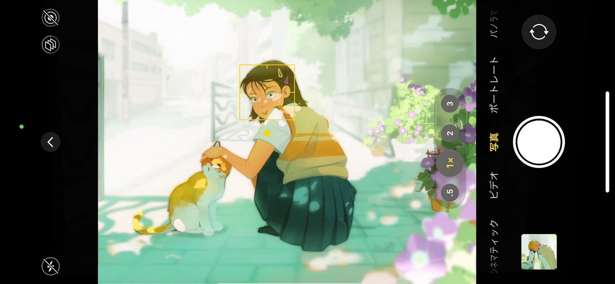 스킵과로퍼 미츠미