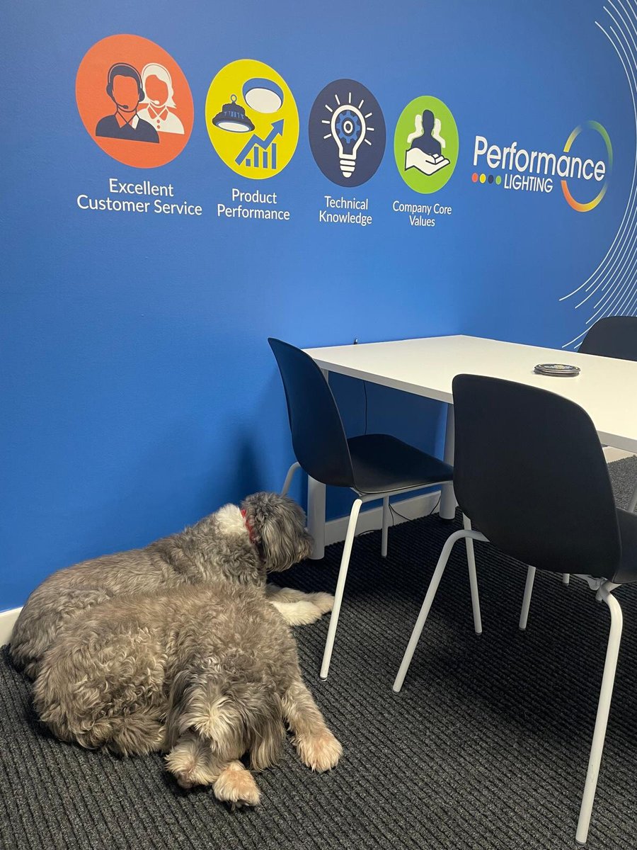 It’s Take Your Dog to Work Day - a holiday celebrated every day at Performance Lighting.

Here we have Meg and Wren, the only full-time skivers in the company - thank God for that!

#TakeYourDogToWorkDay #OfficeDog #LightingSolutions #UKBusiness #BringYourDogToWorkDay