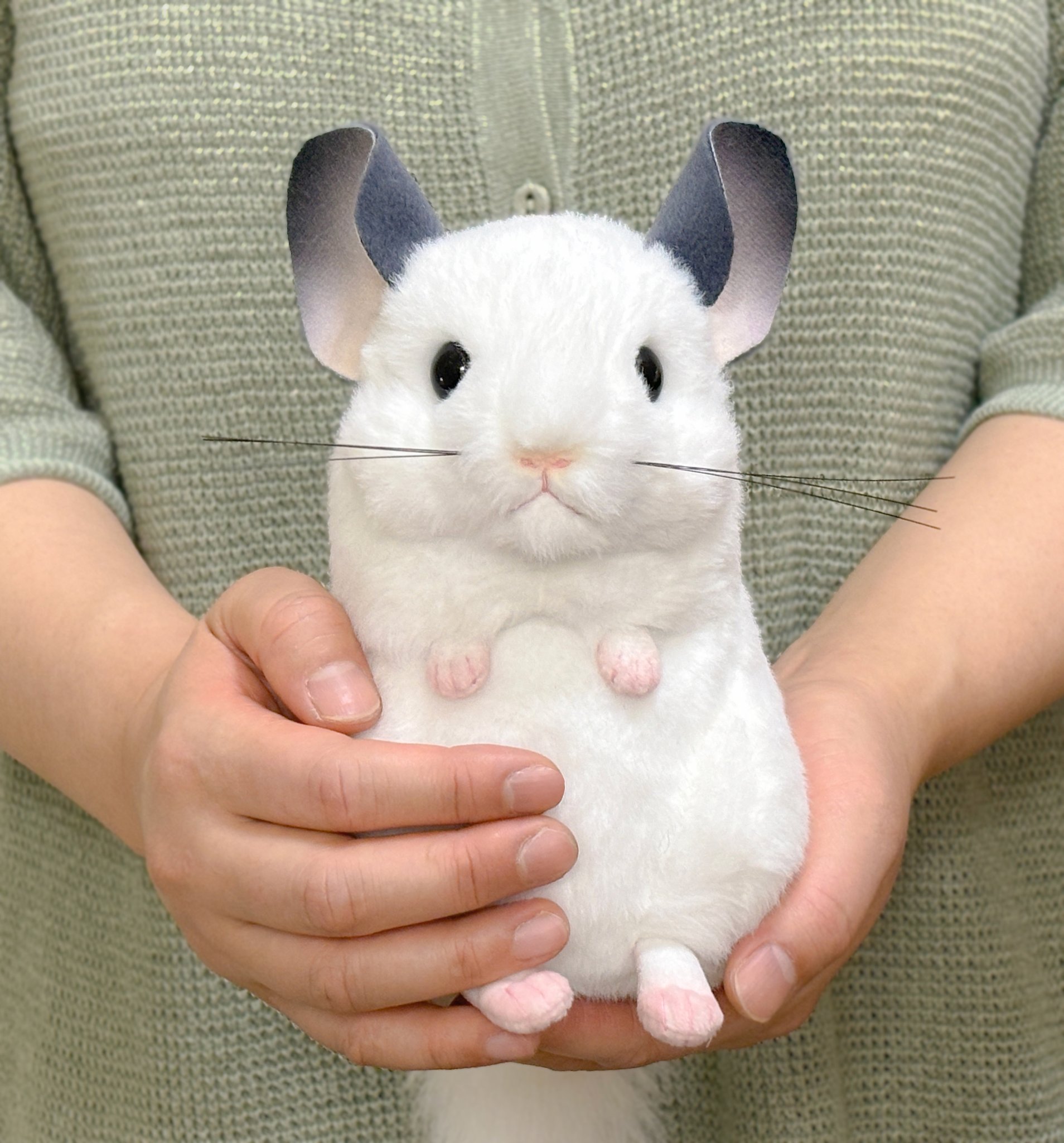 チンチラ ぬいぐるみ GQlQ6A4akAAxfdA.jpg:large