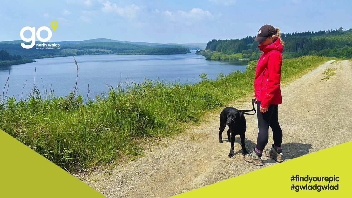 🌲 At Go North Wales, we take #BringYourDogtoWorkDay to a whole new level!

#NorthWales #VisitNorthWales #DiscoverNorthWales #ExploreNorthWales #NorthWalesBusiness #GoNorthWales #NorthWalesTourism #findyourepic