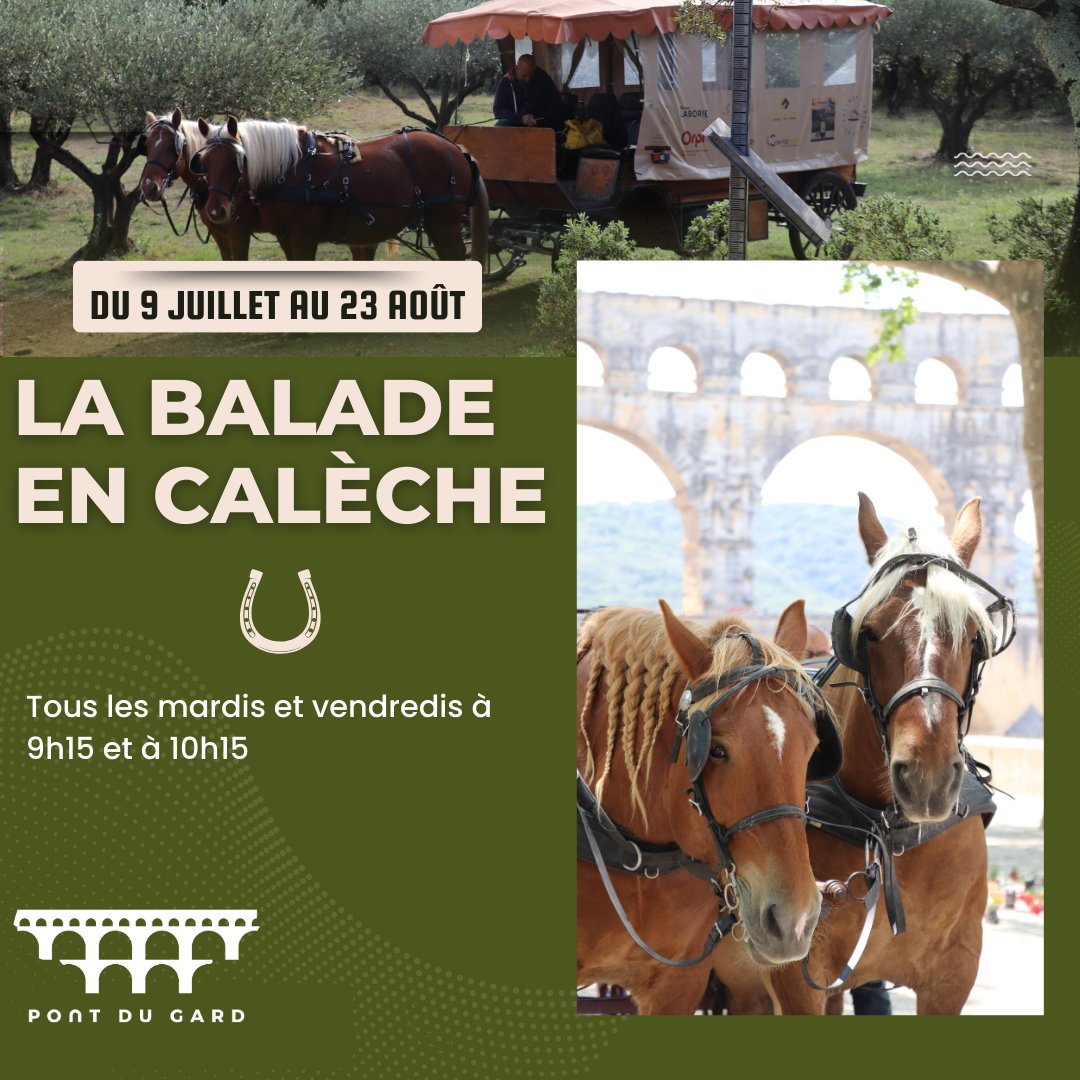 pontdugard's tweet image. #VisiteGuidée🐎
Profitez d'une flânerie paisible et matinale 🌿😌en calèche pour découvrir l'histoire du Site du #PontduGard à travers une visite guidée insolite d'une heure.
Billetterie : urlr.me/mhXyF