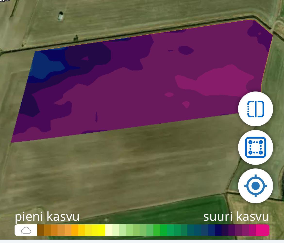 AYlhainen's tweet photo. YAran #Atfarm -kuvissa erottuu jyvät (Kimmo Polo, Kari Alasaari ja Martti Tytykoski) akanoista 😂 Kaurojen kasvu on nyt hurjaa. #kaurakisa @YaraSuomi https://t.co/6er3bmuWr2