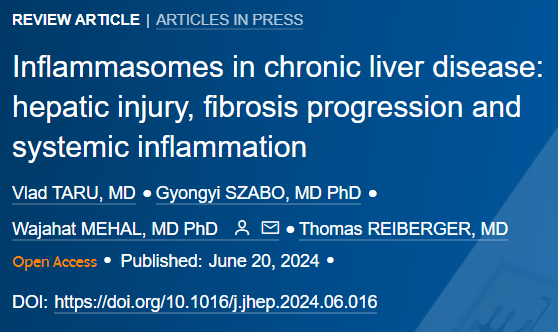 JHepatology's tweet photo. 🆕REVIEW❕

Inflammasomes in chronic liver disease

➡️#HepaticInjury, #fibrosis progression and systemic inflammation

By @VladTaruMD, @GSzaboMD, Wajahat Mehal &amp; @ReibergerThomas 

#OpenAccess here👉https://t.co/1j8MmwfiJM

#LiverTwitter https://t.co/qoyG7tUfIp