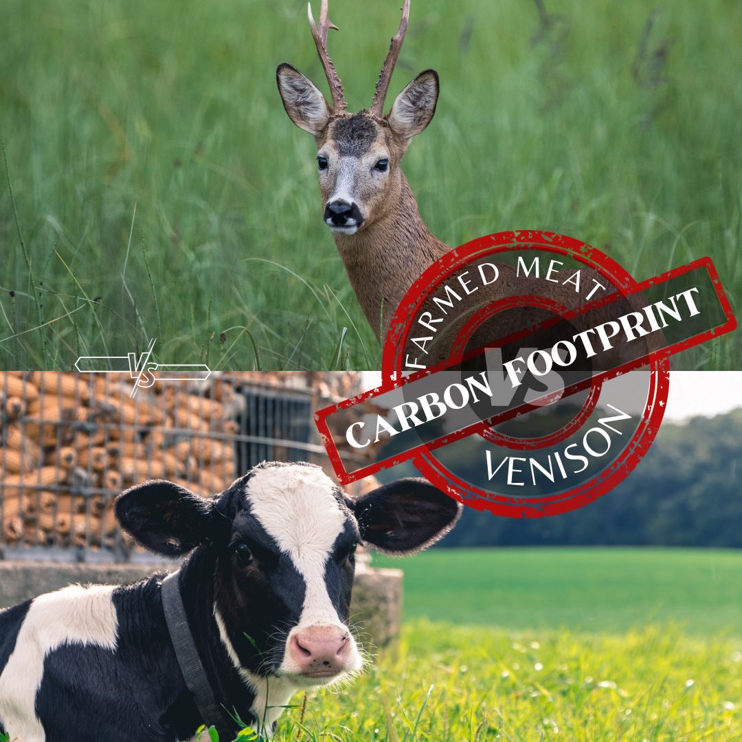 What is the carbon footprint of farmed meat vs wild venison? As hunters we often speak of the virtues of eating wild venison, we crunche the numbers and arrive at some conclusive figures: countydeerstalking.co.uk/blog/carbon-fo…