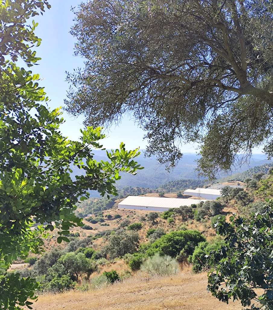 ¡¡Buenos días!!

☀️ Vamos a tener un día maravilloso hoy en #ElCabril 👏

A disfrutar de la segunda jornada de #Sipma24