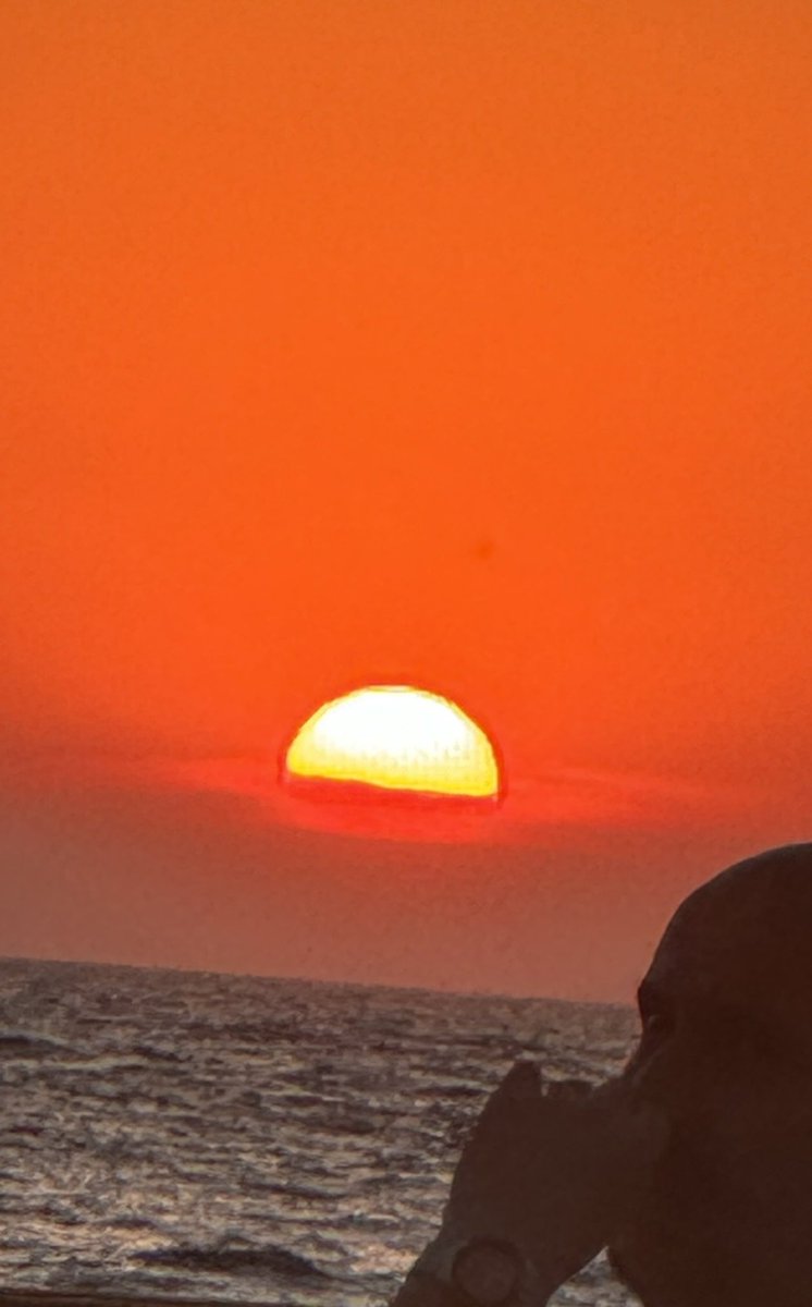 MuddyMutleys's tweet image. Why not follow me on insta? instagram.com/muddy_mutleys?… or tickety tick tock tick tiktok.com/@clare.nl.grie… 🐾🐶🥳