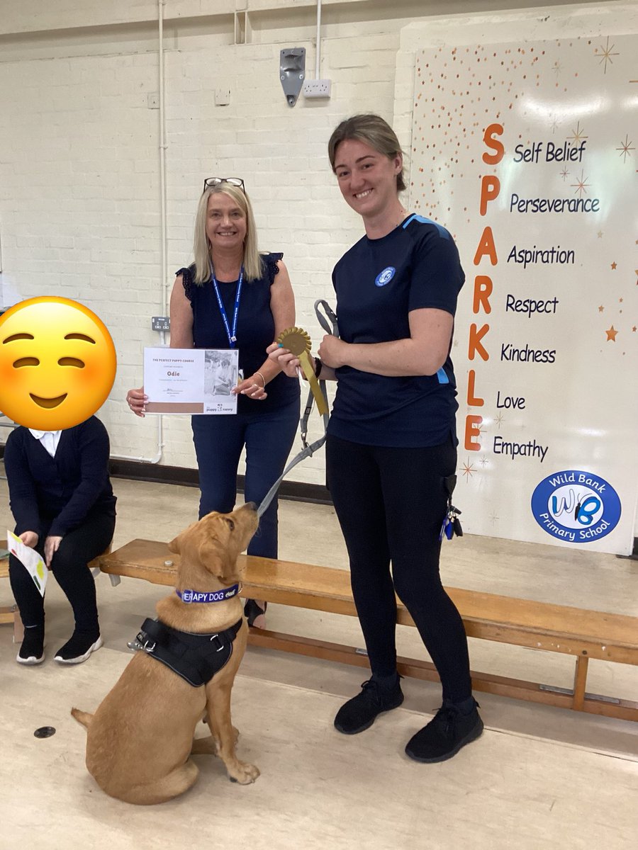 Wild Bank Primary School π (@wildbankprimary) on Twitter photo We love sharing awards in our Friday assembly and someone today shared one we havenβt had before! Odie has completed his puppy training βοΈ well done Odie and Miss Summerhill <a href="/Odie_WildBank/">Wild Bank Odie</a> <a href="/TrustVictorious/">Victorious Academies Trust</a> We love sharing awards in our Friday assembly and someone today shared one we havenβt had before! Odie has completed his puppy training βοΈ well done Odie and Miss Summerhill <a href="/Odie_WildBank/">Wild Bank Odie</a> <a href="/TrustVictorious/">Victorious Academies Trust</a>