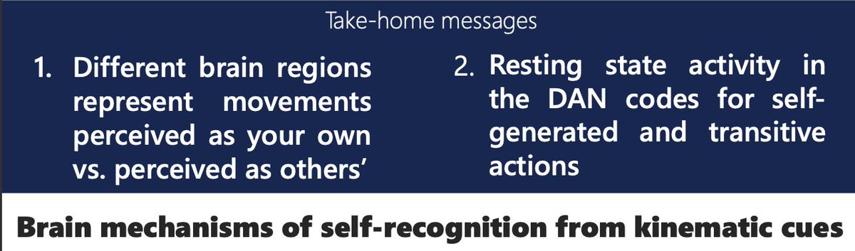 Cosync Lab tweet media