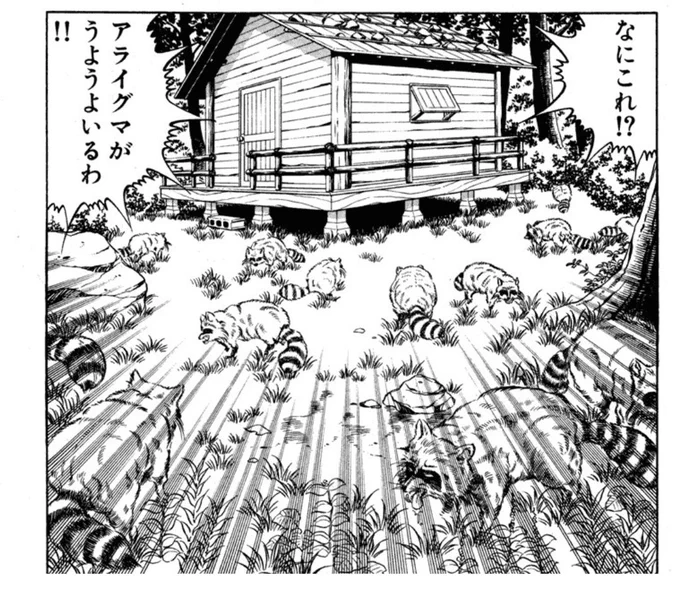 一方その頃KAZUYAは狂犬病に冒されたアライグマ都戦っていた 
