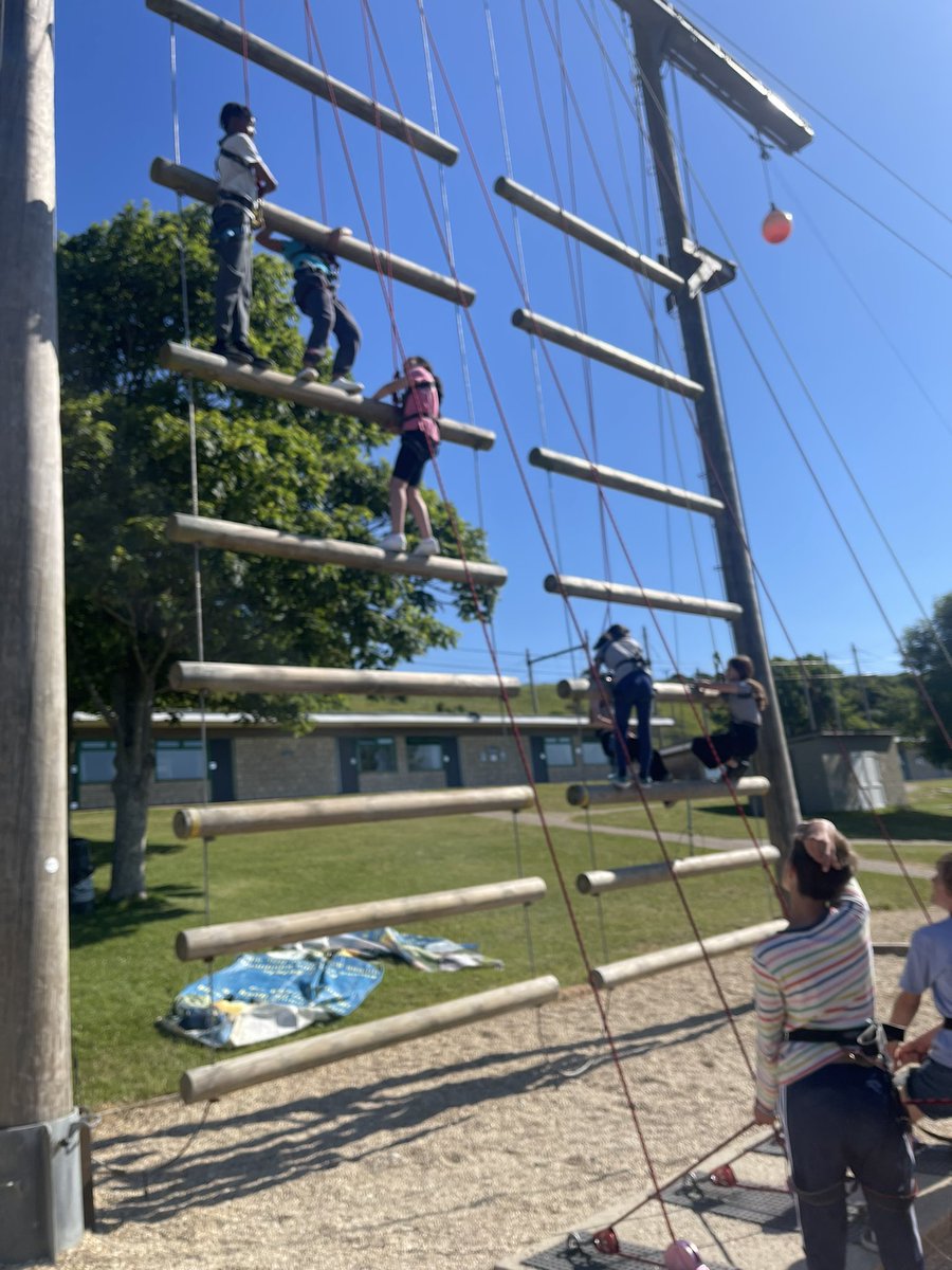 Y6@fircroft.family tweet media