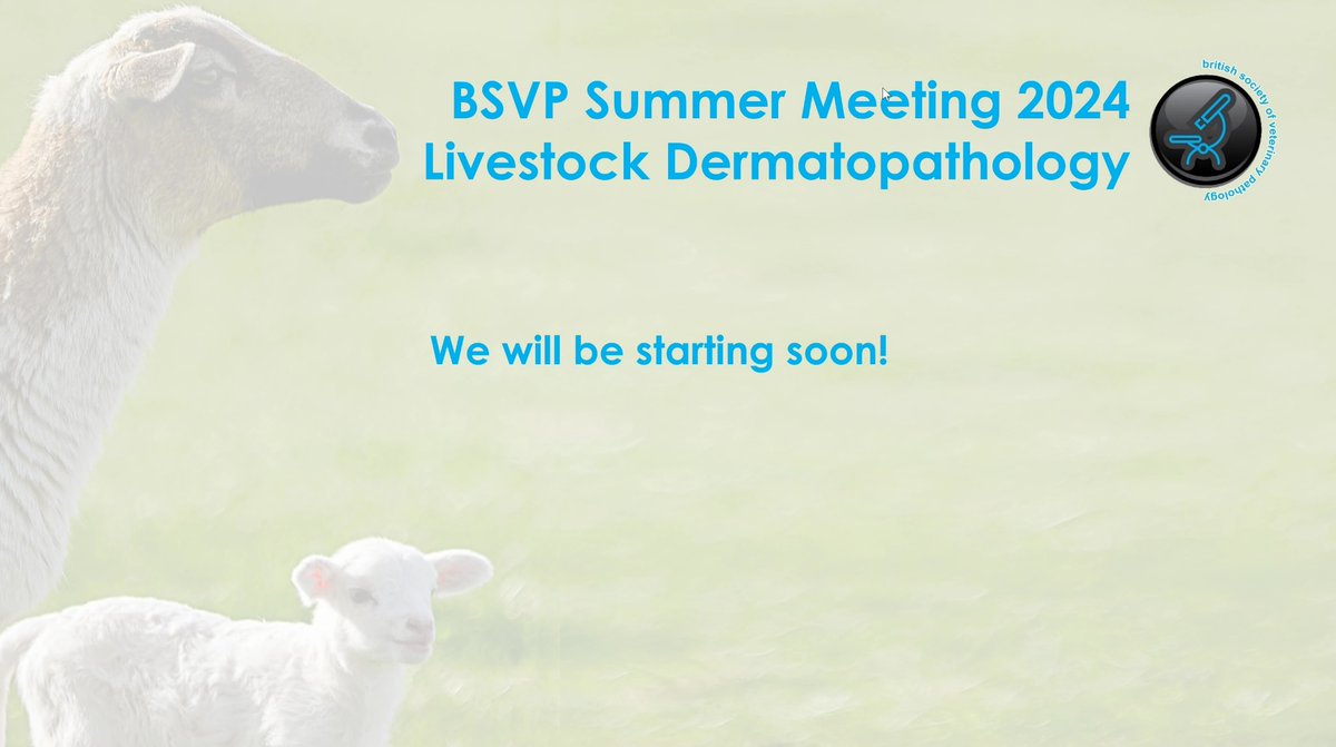 Really looking forward to attending online today! Love the flexibility of hybrid meetings - sad to miss the face to face interactions but happy to be reducing the environmental impact of this CPD activity by attending from home.
