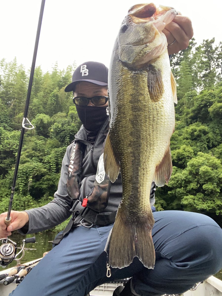 keee_suke's tweet photo. 2024/6/21
三島湖

#engine_fishing 
#スペルバウンドコア
#SPELLBOUNDCORE https://t.co/K4O9ECGi9y
