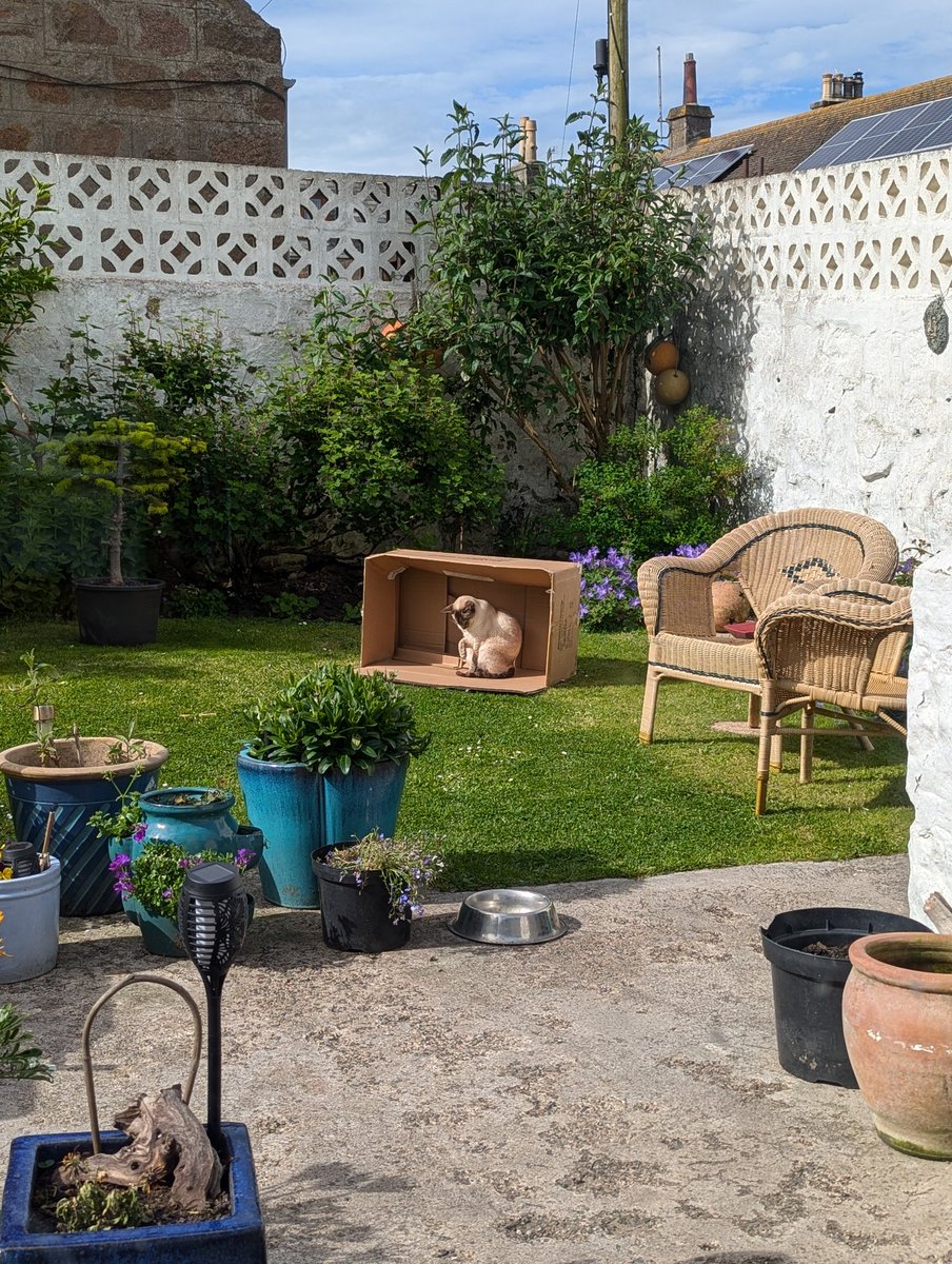 When you live in Scotland and its always windy 🤣🤣