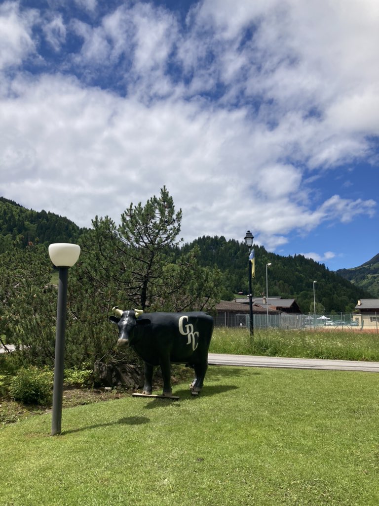 Mirco Scaccaglia (@mircoscaccaglia) on Twitter photo What a great week of science at the <a href="/GordonConf/">Gordon Research Conferences</a> #Bioinspired #Materials. A big thanks to Chris, Molly, and all the attendees for making it a memorable event. <a href="/labdecola/">De Cola Lab</a> What a great week of science at the <a href="/GordonConf/">Gordon Research Conferences</a> #Bioinspired #Materials. A big thanks to Chris, Molly, and all the attendees for making it a memorable event. <a href="/labdecola/">De Cola Lab</a>