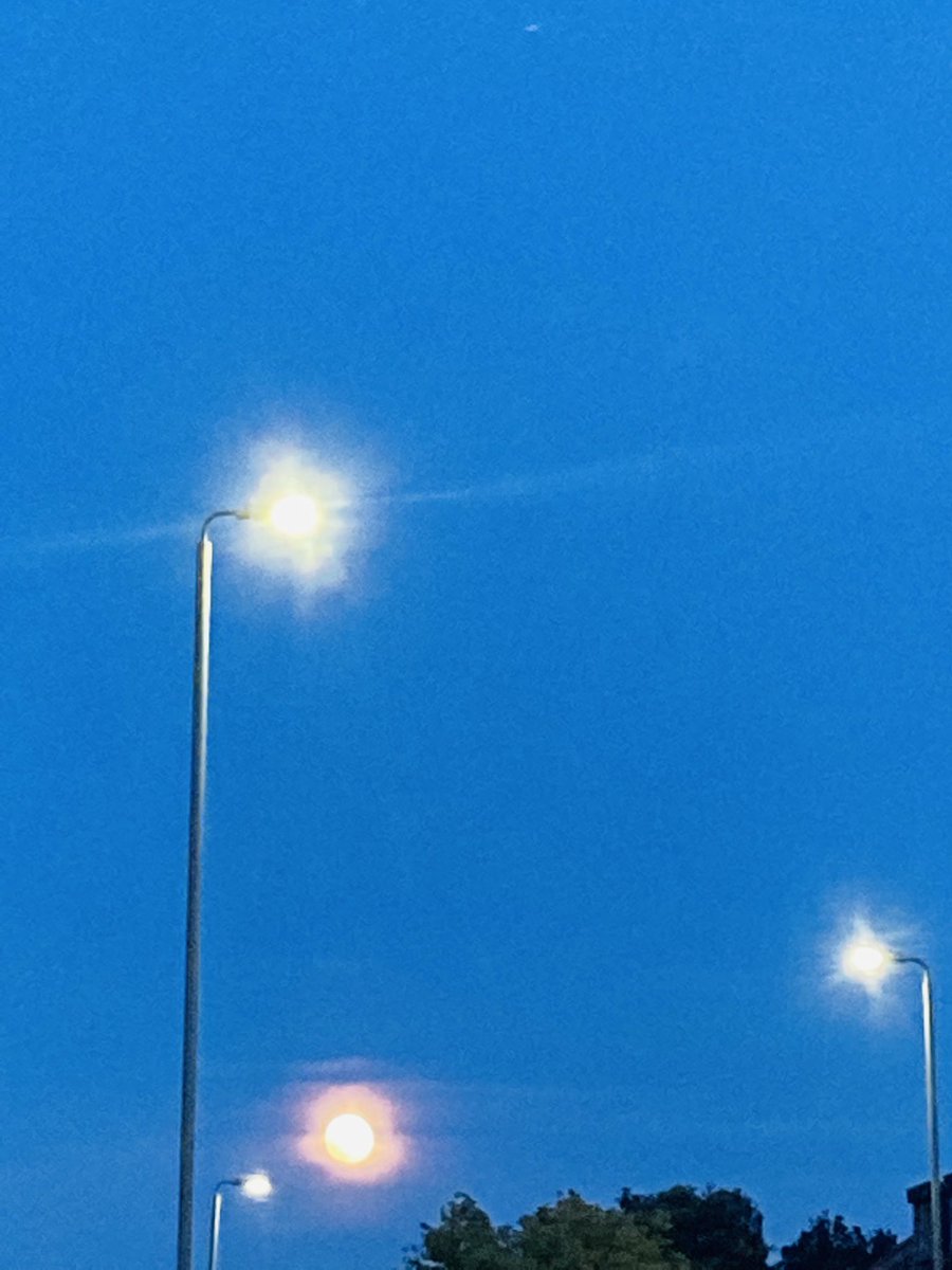 Find_Enlight's tweet image. Fascinating