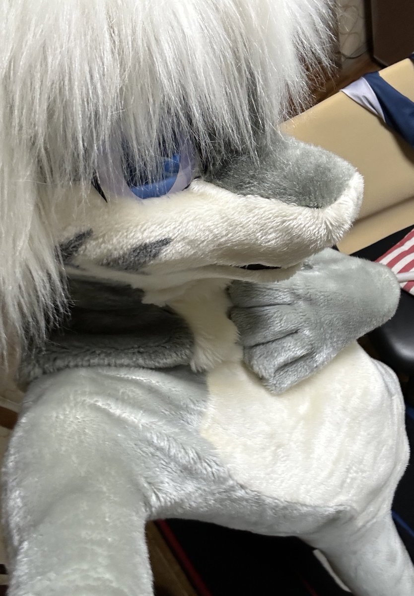 Fubuki_000's tweet photo. #FursuitFriday
鮫さん🦈 https://t.co/aRgYZGMaS4