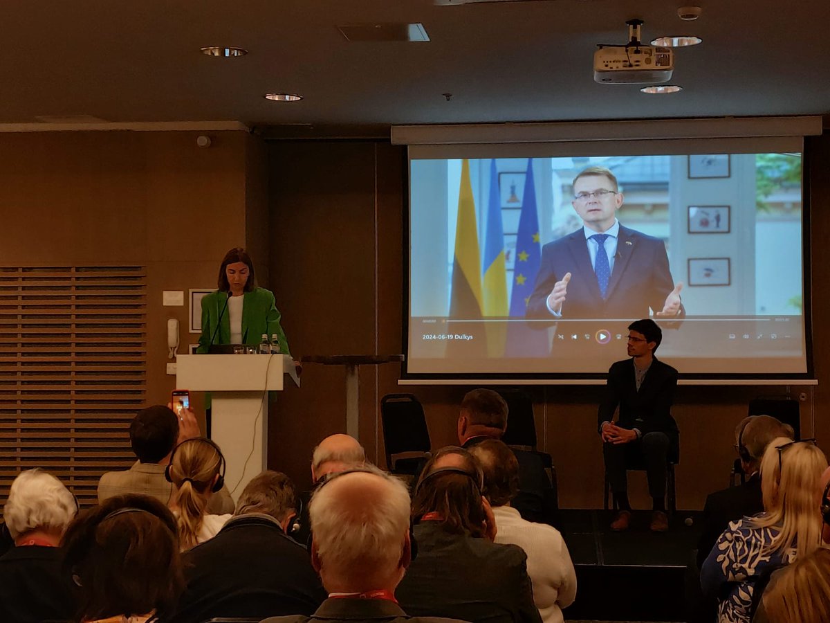 At the #EUFAMICongress, the Lithuanian Health Minister Mr. Arūnas Dulkys and Social Security Ministry representative Ms Jelena Ivančenko gave a brief but insightful presentation on Lithuanian mental health! 
#MentalHealthMatters #Vilnius