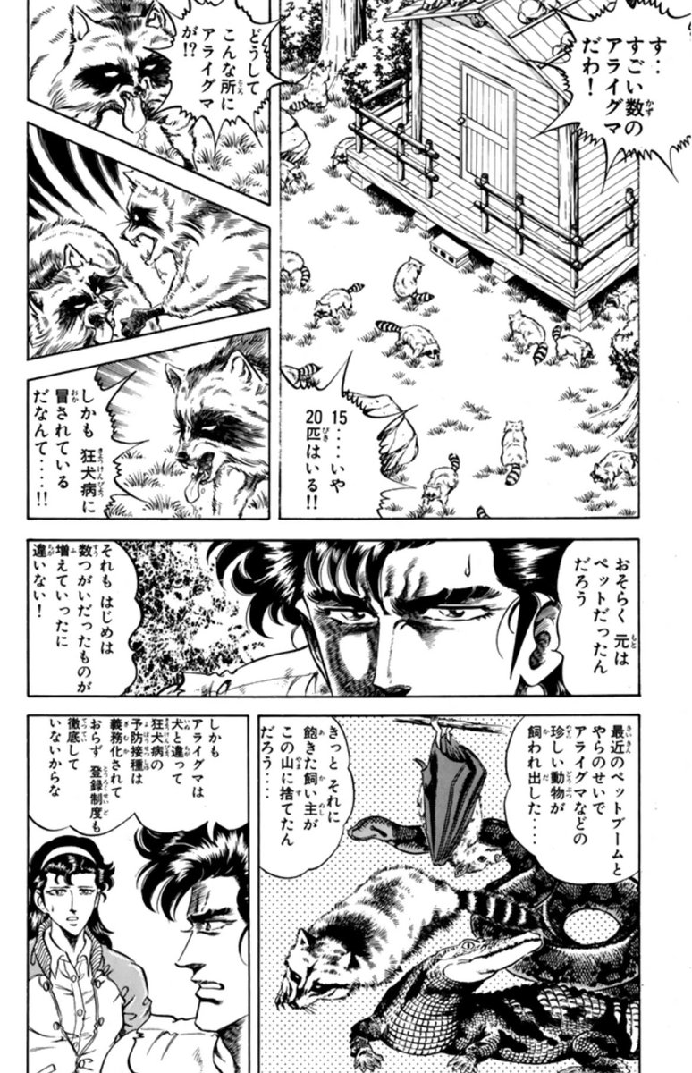 ペットブームとそれに伴う捨てアライグマ(狂犬病)の話をしてたスーパードクターKから 長い時を経てK2であらいぐまラスカルとコラボし衛生を啓蒙するように ちょっと不思議な因果