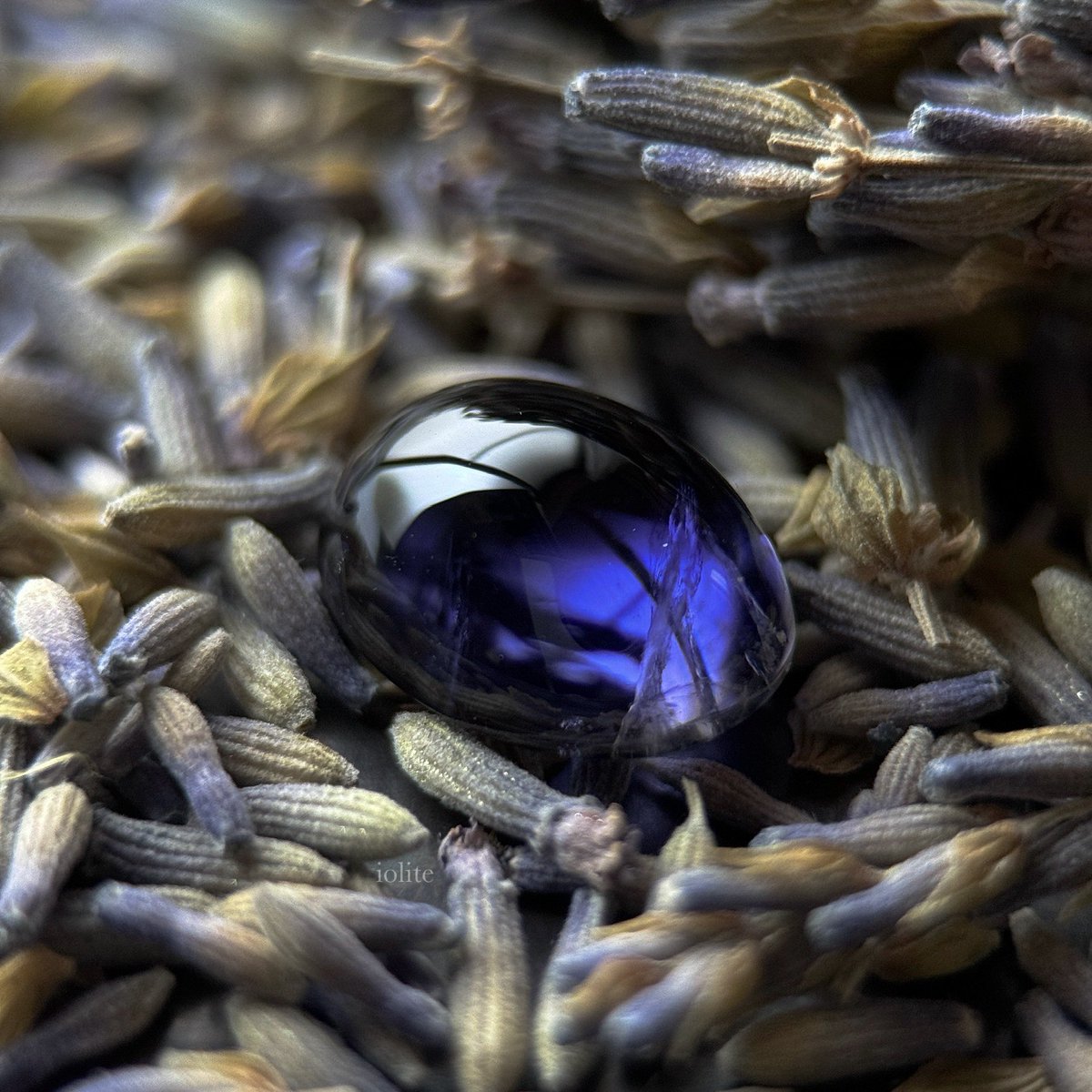 satotradingco's tweet image. 夜をつつむラベンダーの香り。

4ct
#iolite #アイオライト #ラベンダー