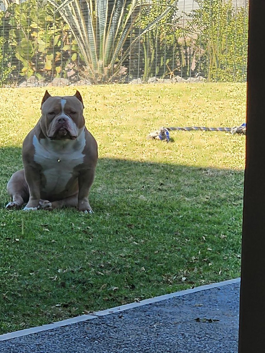 Radioraps (Rikus de Beer) tweet media