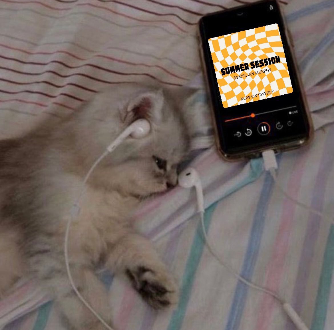 jaz ♡‧₊˚ tweet media