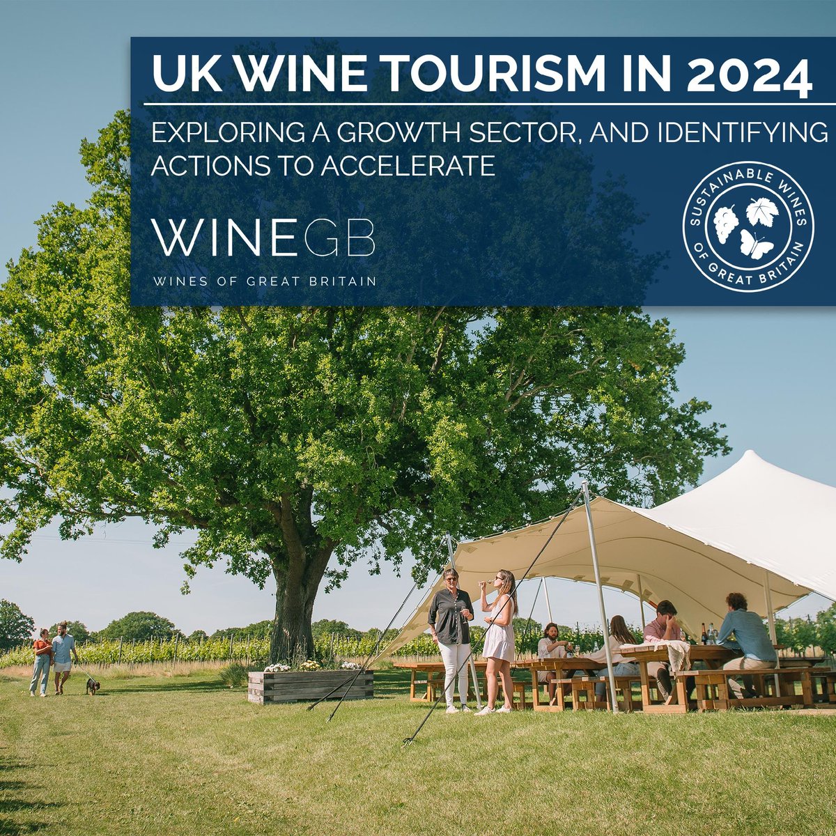 Wine_GB's tweet image. Read our tourism report to find out the latest data, what WineGB is doing to support the industry, &amp;amp; the 7 policy changes we're calling on the new Government to make to facilitate growth.

Read our full Tourism Report for 2024 - bit.ly/4crwE6f

#WineGB #englishwineweek