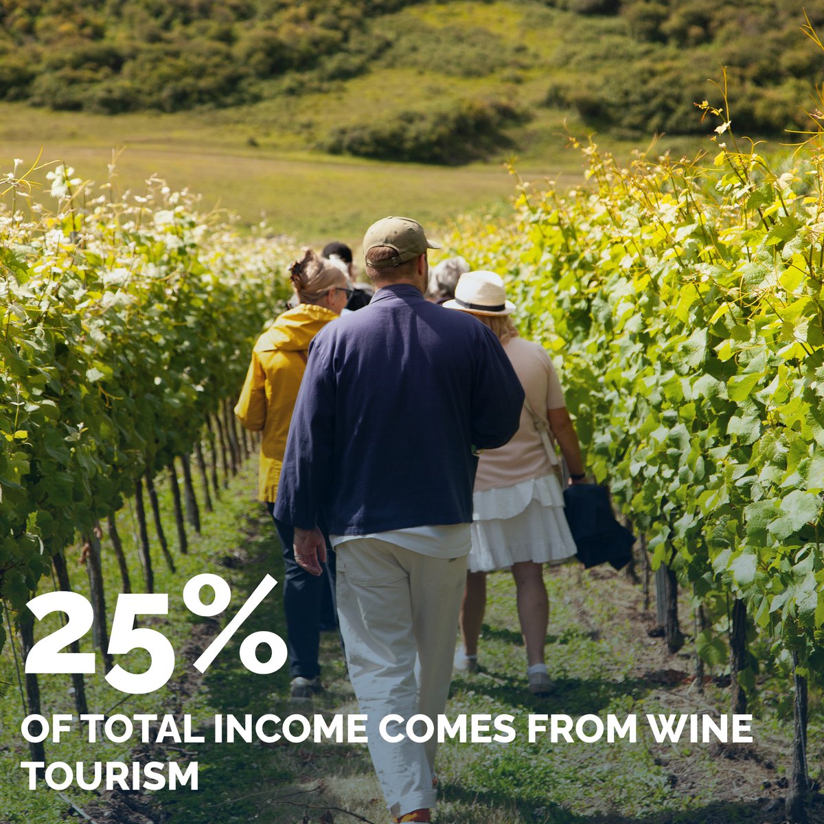 Read our tourism report to find out the latest data, what WineGB is doing to support the industry, &amp; the 7 policy changes we're calling on the new Government to make to facilitate growth.

Read our full Tourism Report for 2024 - bit.ly/4crwE6f

#WineGB #englishwineweek
