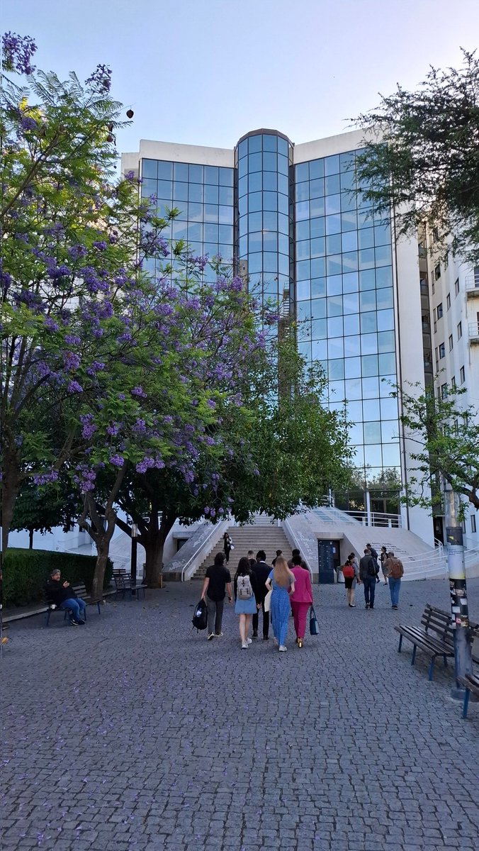 Nice days under the violet flowering alleys in Lisbon at <a href="/DARIAHeu/">DARIAH-EU | @dariaheu.bsky.social</a> !2024 Annual Event nearing to the end. It was great to meet once again the whole community and in particular all the folks from <a href="/bibliodataWG/">Bibliographical Data DARIAH-EU Working Group</a>! Happy to close our #bibliodata workflows adventure as well
#DARIAH2024
