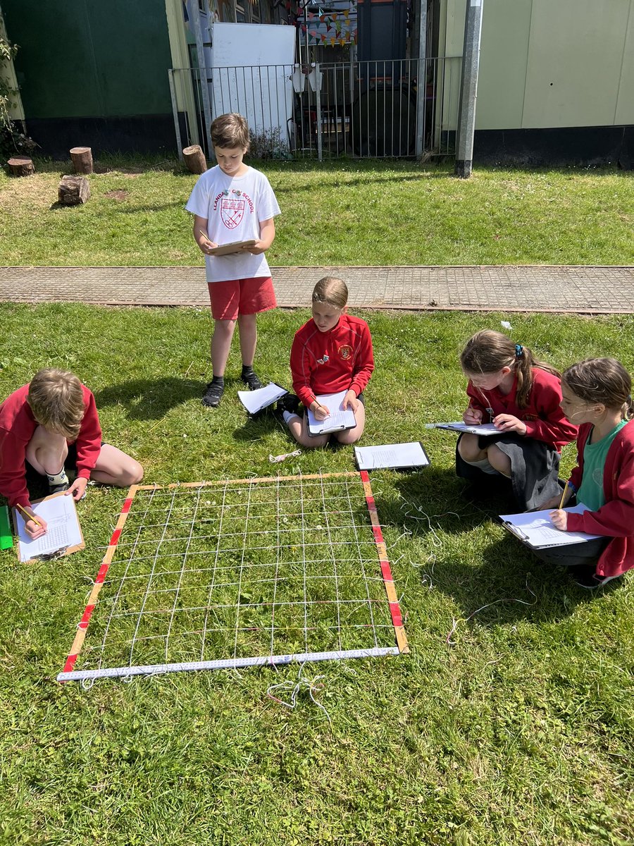 SJ Maples 5SJM tweet media