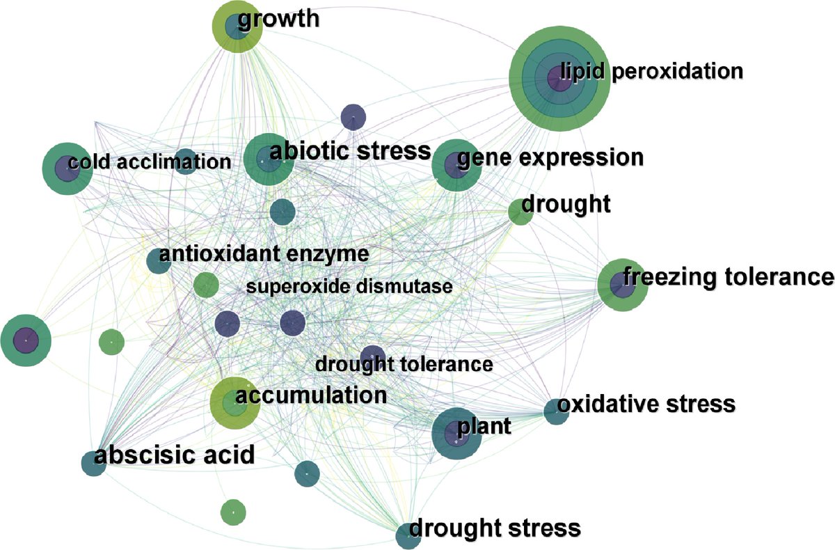 GrassResearch's tweet image. #GrassResearch #Proline #Turfgrass 
Proline: The key to turfgrass&apos;s #stress tolerance! Learn how it boosts growth &amp;amp; adapts to #drought, #salt, &amp;amp; temp changes.🌱✨
@MaximumAcademic @AbioticStress @wileyplantsci @TylerTalksTurf
Details: maxapress.com/article/doi/10…