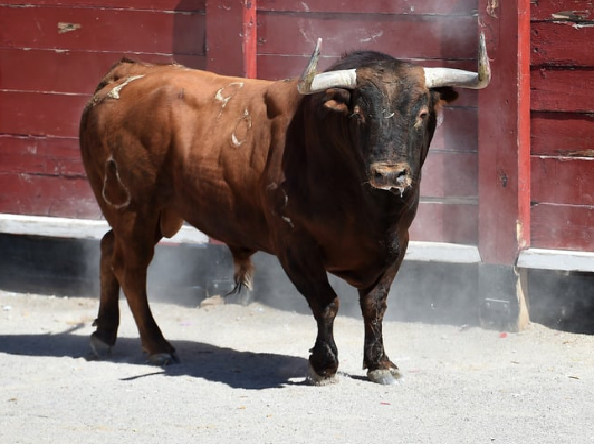 GVA Agricultura, Agua, Ganadería y Pesca tweet media