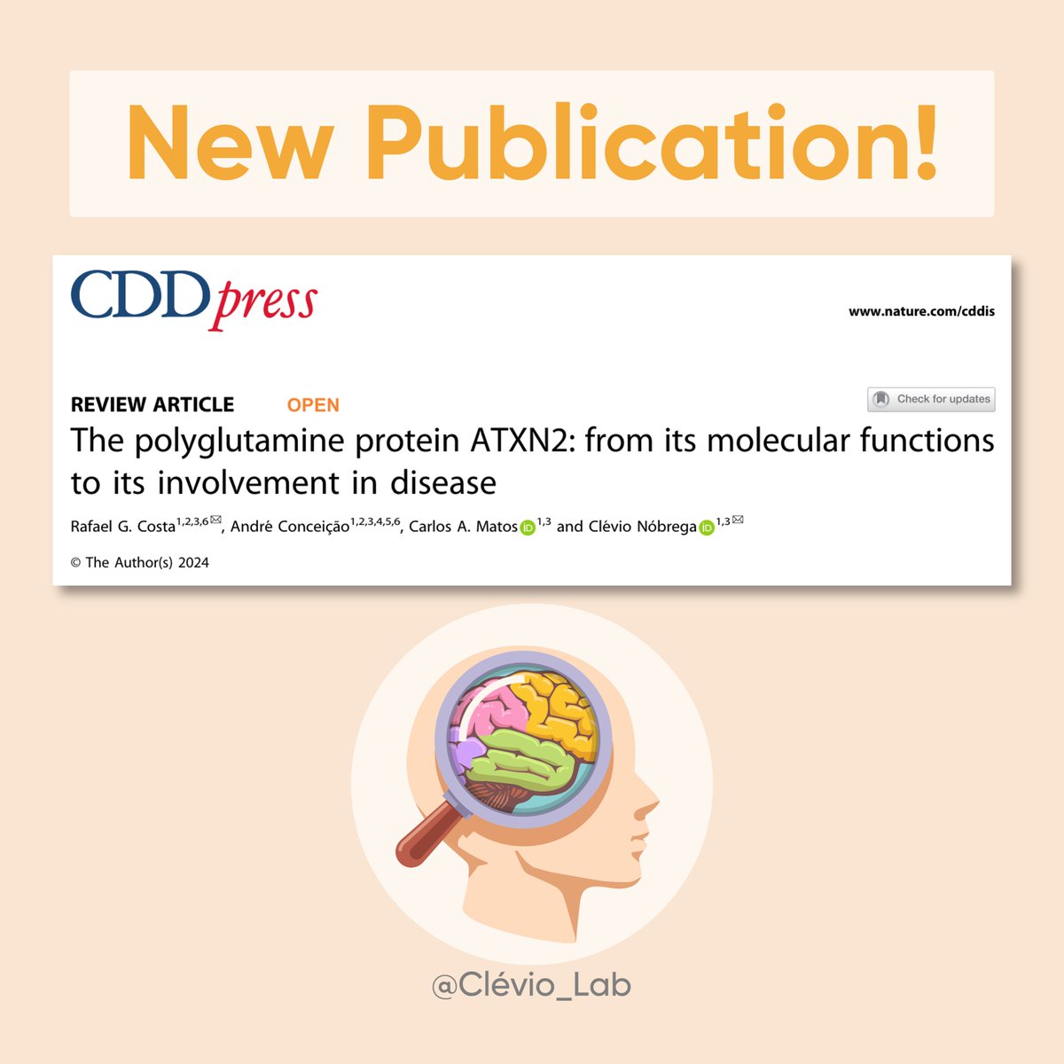 Clevio_Lab's tweet image. 🌟 Exciting News! 🌟 We are thrilled to share our latest publication available on: ncbi.nlm.nih.gov/pmc/articles/P… 🧬🧠

#Neuroscience #ATXN2 #SCA2  #GeneTherapy #Neurodegeneration #Research #Science #InnovativeTherapies #LabLife #Genetics #RNA  #ScienceNews #AcademicResearch