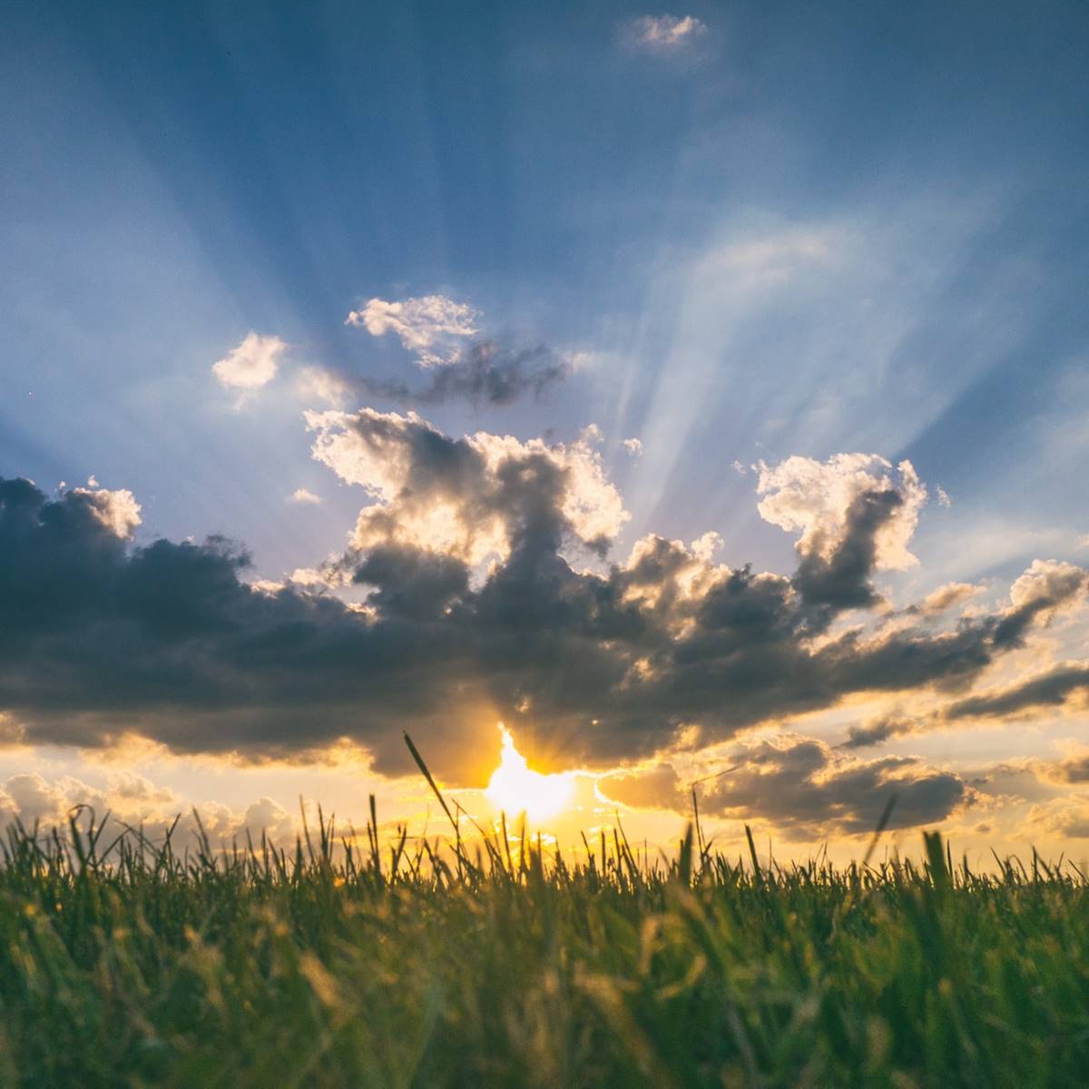 #DíaMundialDelSol  Una fuente “inagotable” de #energía que gracias a los paneles fotovoltaicos y fototérmicos podemos aprovechar para nuestro uso cotidiano. Seamos mas #eficientes (preoca.com/sostenibilidad…)

 #comprometidos #MedioAmbiente #actuamos #PorelClima