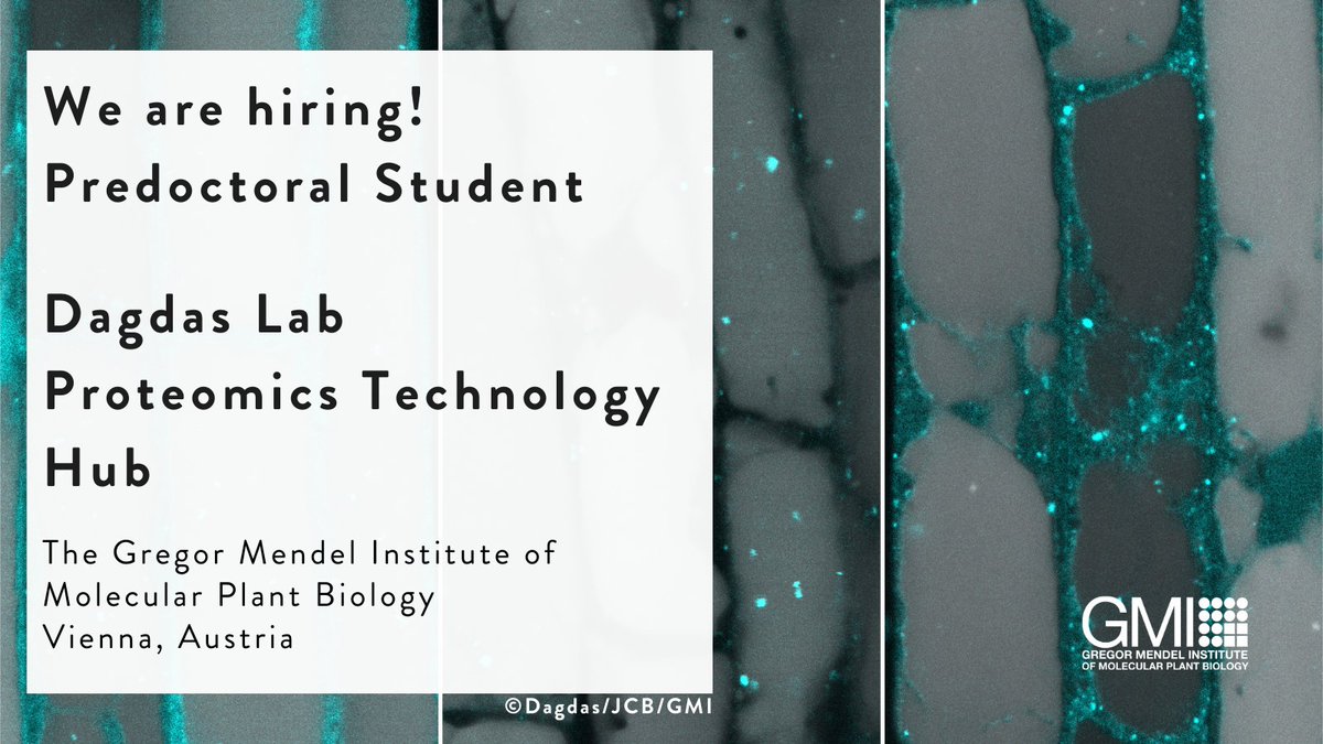 We are #hiring! Join the Dagdas Lab and Proteomics Technology Hub as a predoctoral student. Apply here: bit.ly/jointhegmi

#autophagy #lifesciences #research #europe