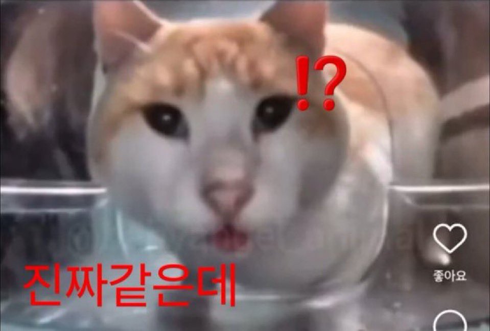 블루레이 공상이 너 맞아????