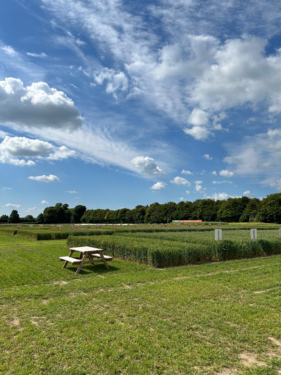 UK_COFCO's tweet image. What a beautiful morning to be with @KWSUKLtd