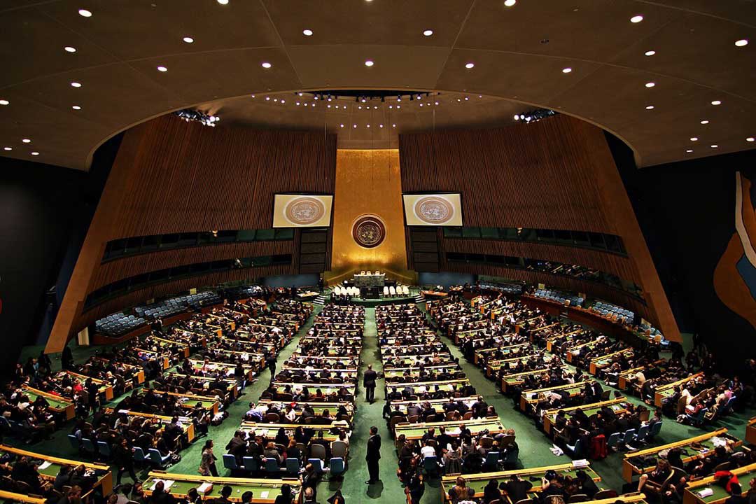 Etienne Krug (@etiennekrug) on Twitter photo Monday, 24 June at 10:00 AM (EDT) the <a href="/UN/">United Nations</a> General Assembly will discuss and adopt a new #RoadSafety Resolution
Watch the live broadcast on UN WebTV webtv.un.org/en Monday, 24 June at 10:00 AM (EDT) the <a href="/UN/">United Nations</a> General Assembly will discuss and adopt a new #RoadSafety Resolution
Watch the live broadcast on UN WebTV webtv.un.org/en