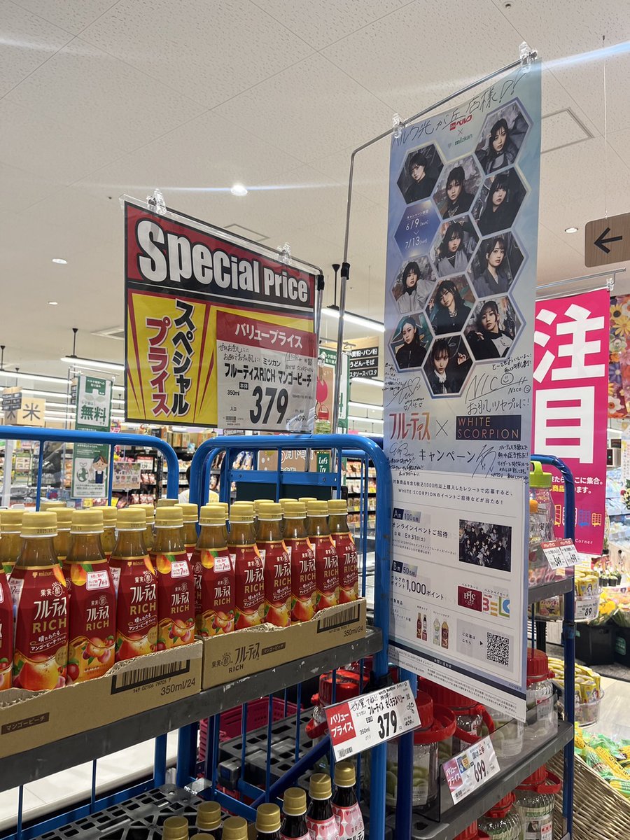 ACE 9/23 連撃 サイン入りポスター FC会員特典 ホワイトスコーピオン