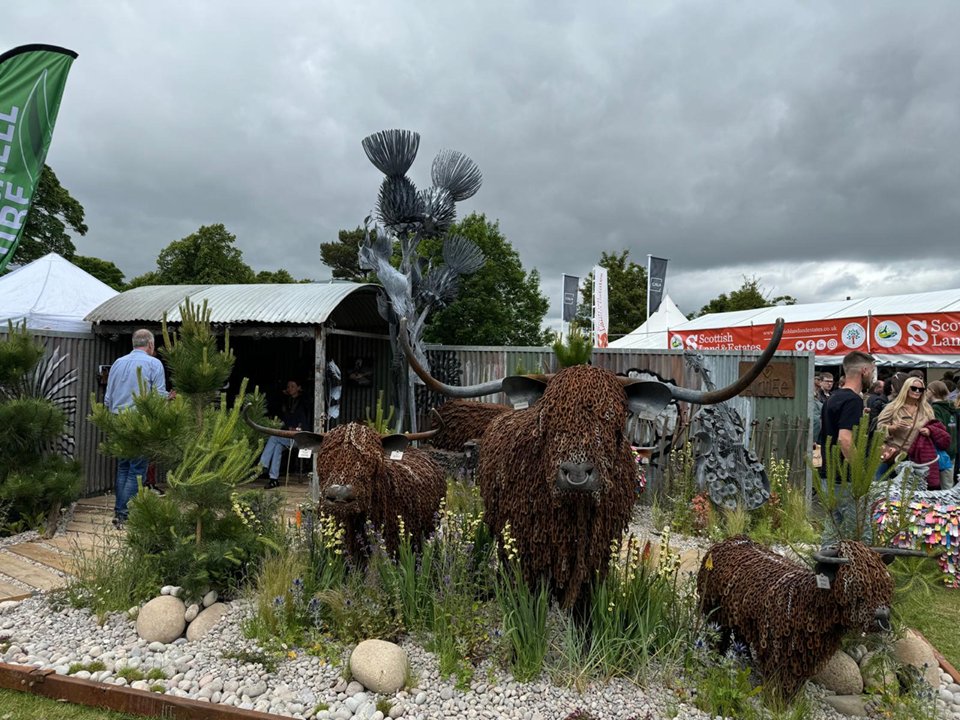 Travel Chapter tweet media