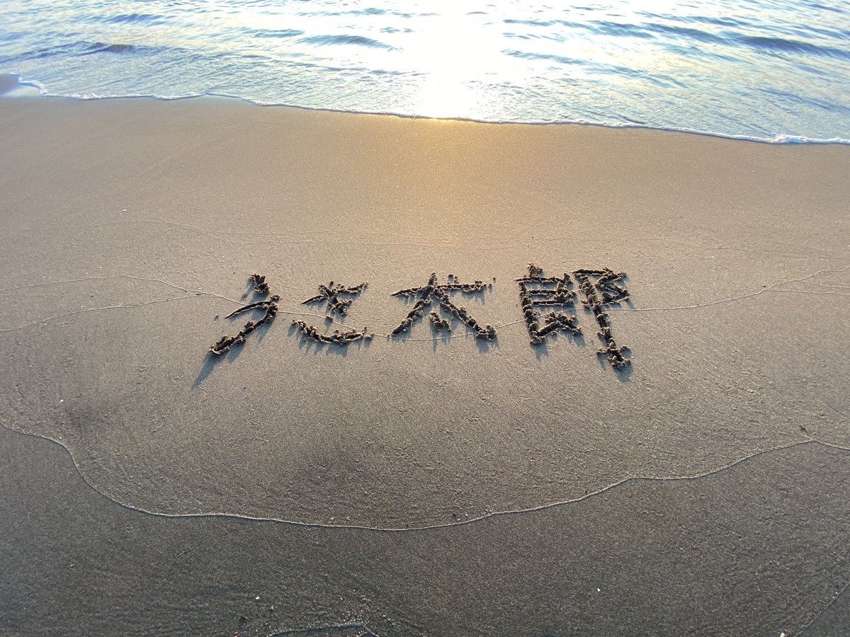 うさ太郎 tweet media