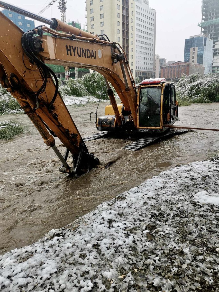 8 жил блаа 8 хоног үлдлээ.